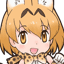 :serval5: