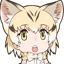 :sandcat2: