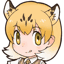 :hyou: