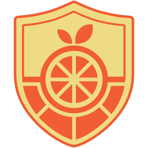 :symbol_academy_naranja: