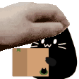 :petthex_blobcat_transport: