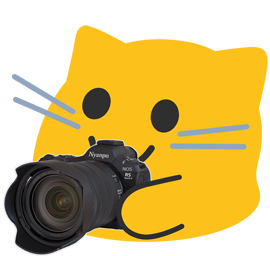 :blobcat_camera_standard_zoom_lens: